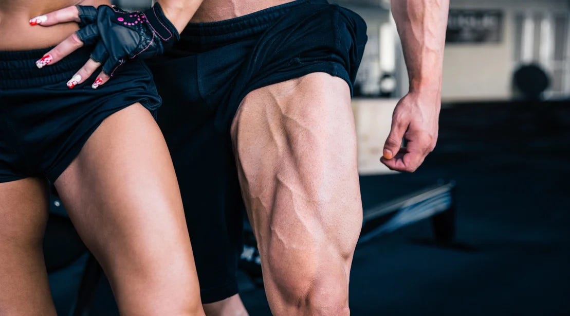 BodyBase