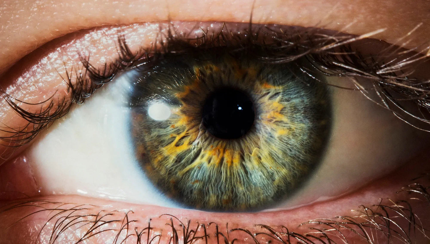 Eyes