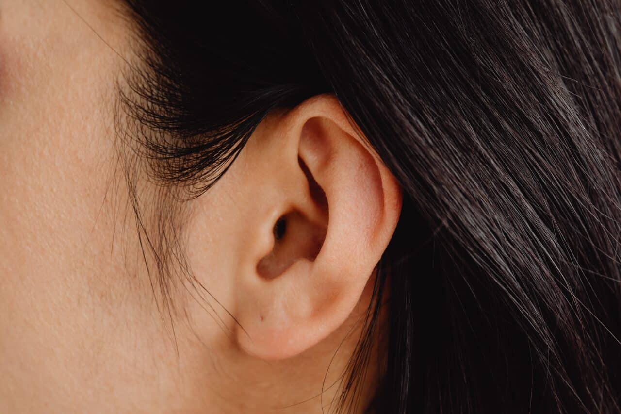 Ears