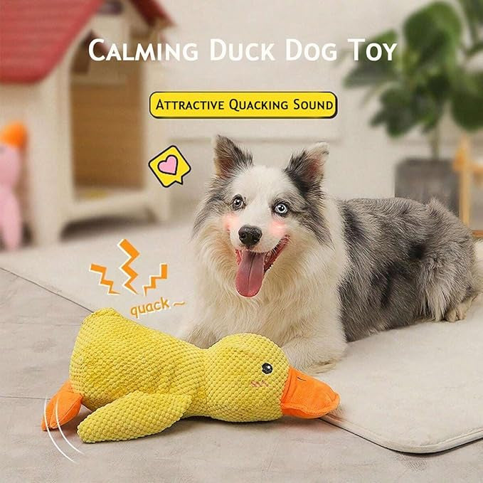 Dog Toy