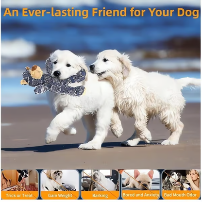 Dog Toy
